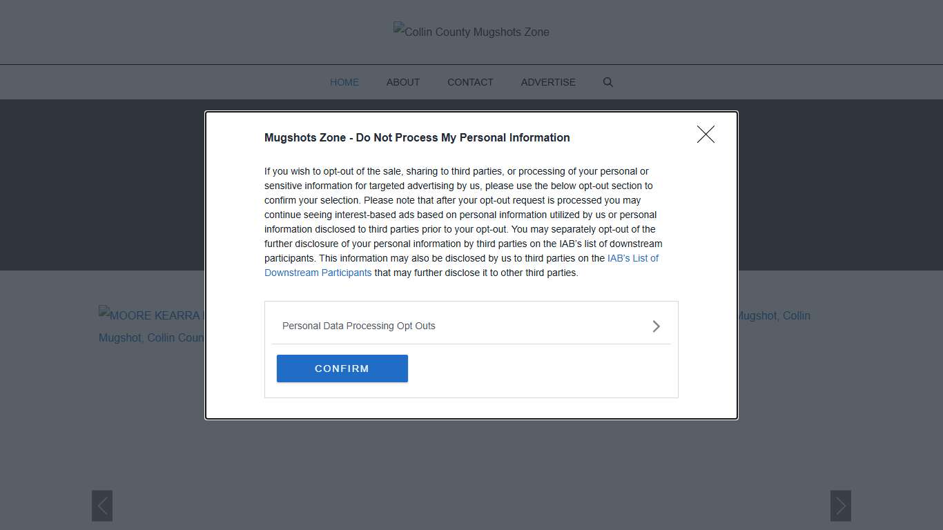 Collin County Mugshots Zone